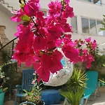 Eva Oliva דירה *