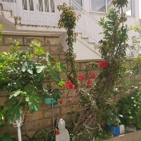 아파트 Eva Oliva *