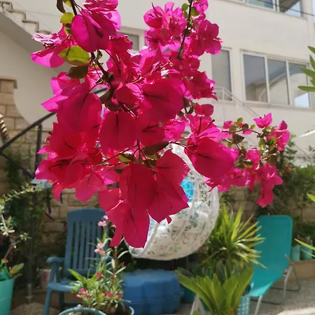 Eva Oliva Apartmán *