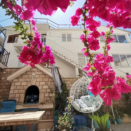 Eva Oliva * 마카르스카